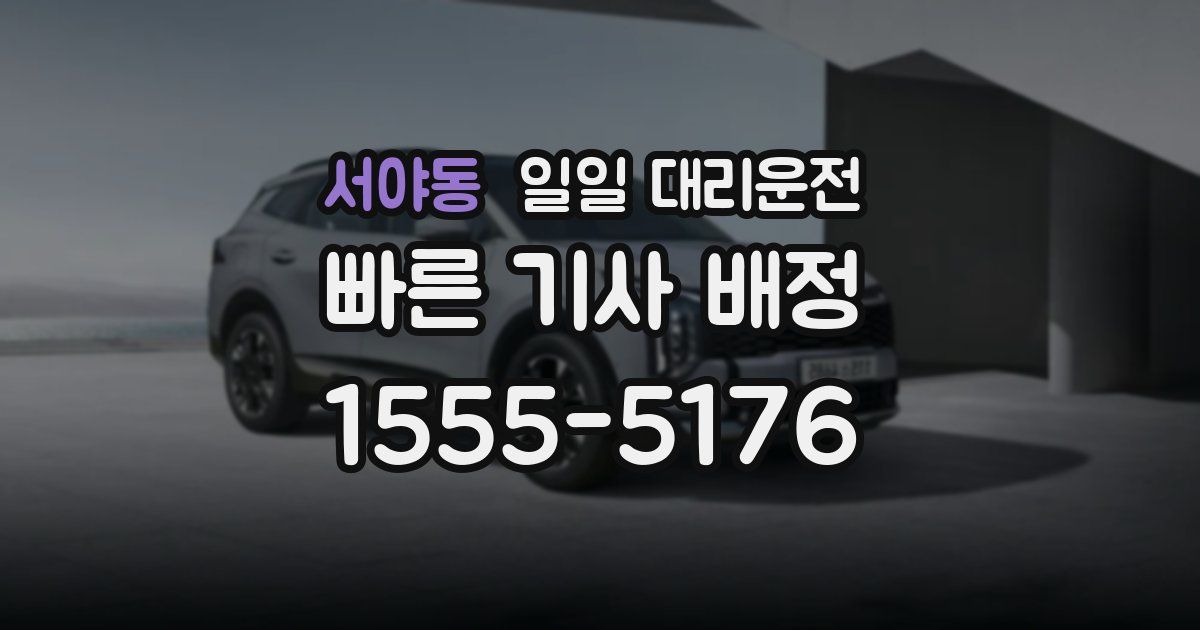 서야동 일일 대리운전