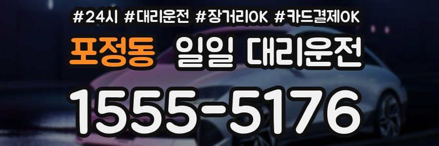 포정동 일일 대리운전