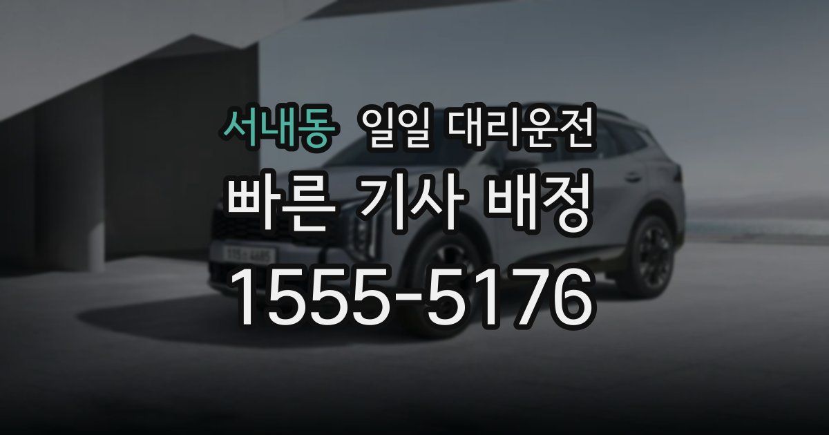 서내동 일일 대리운전