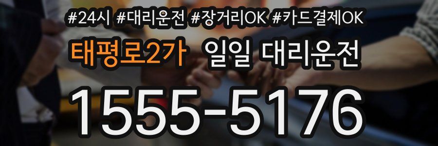 태평로2가 일일 대리운전