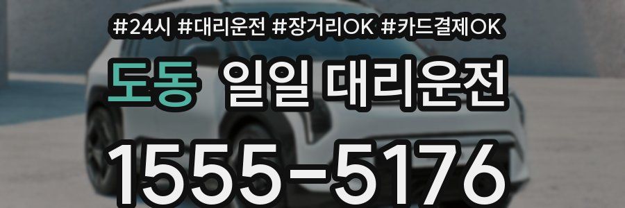도동 일일 대리운전
