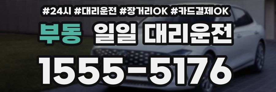 부동 일일 대리운전