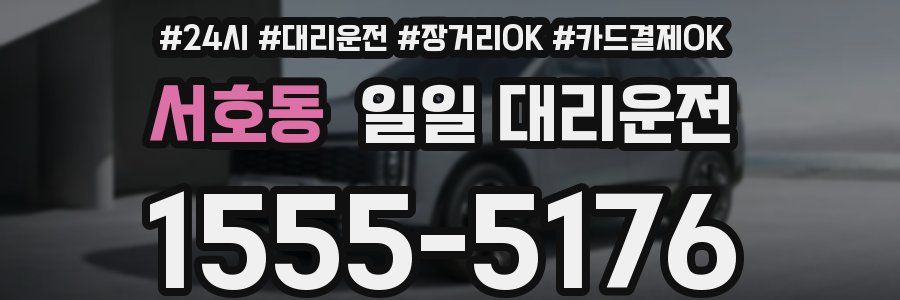 서호동 일일 대리운전