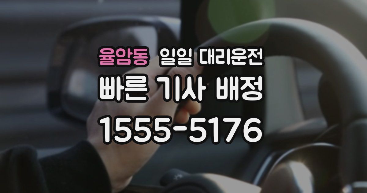 율암동 일일 대리운전