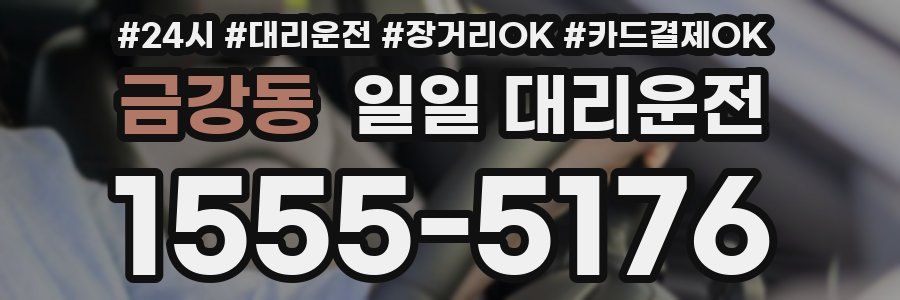 금강동 일일 대리운전