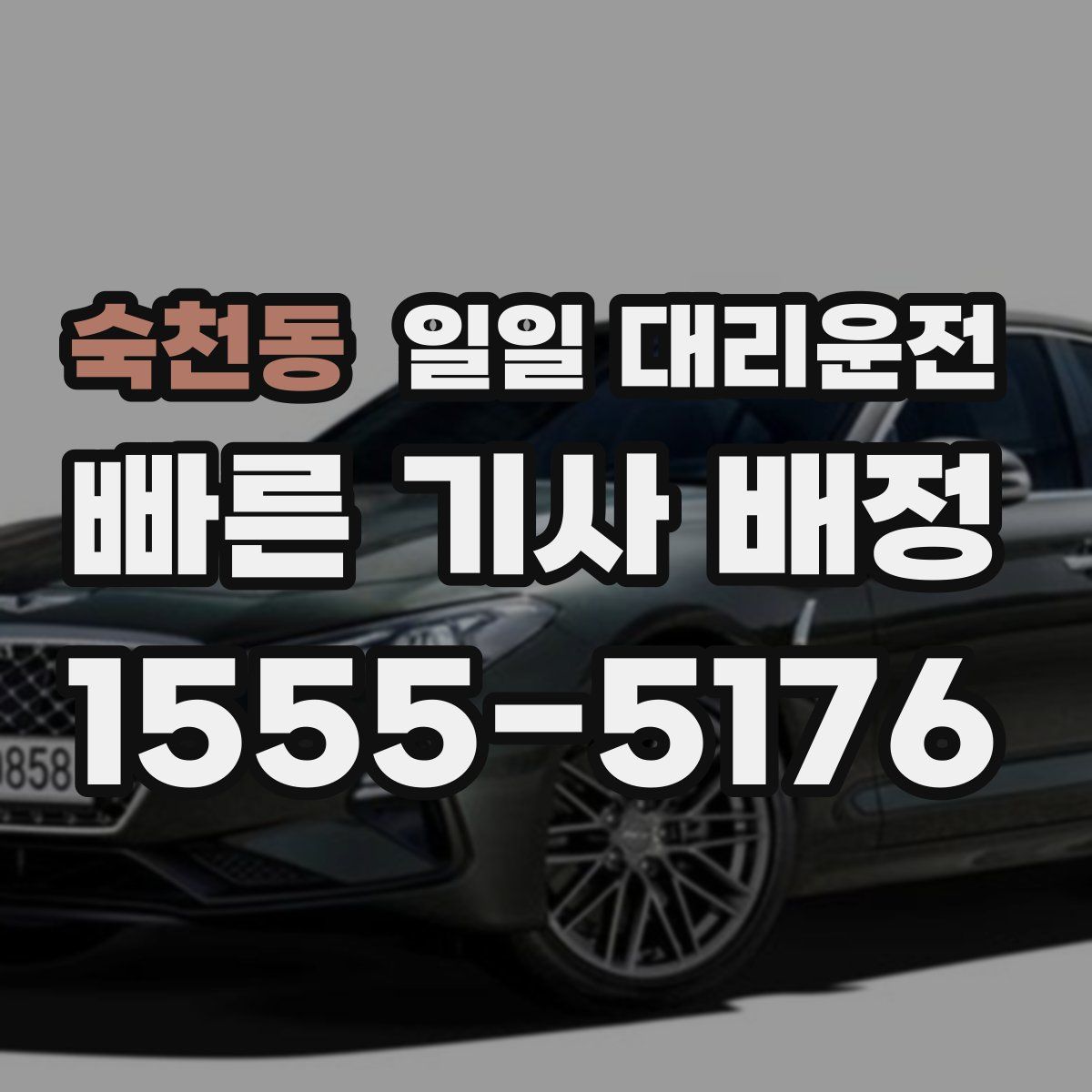 숙천동 일일 대리운전