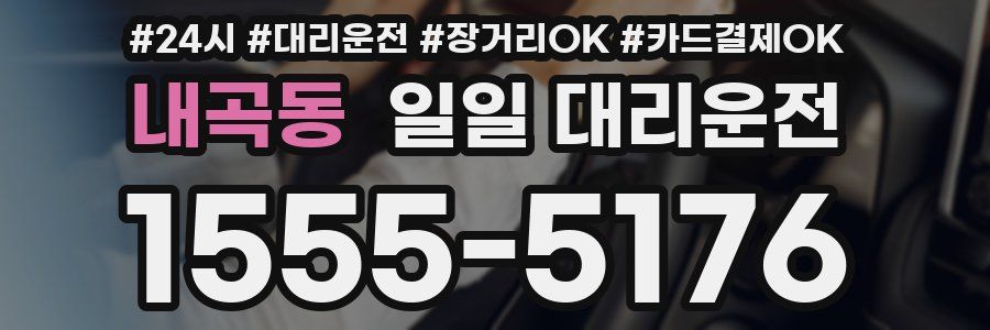 내곡동 일일 대리운전