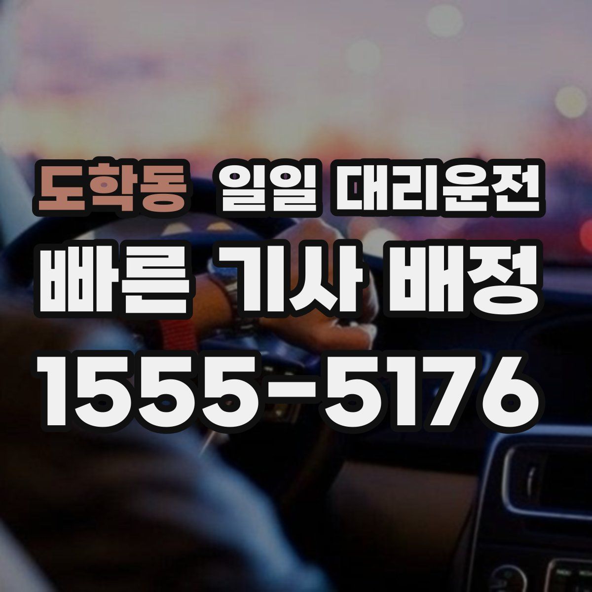 도학동 일일 대리운전