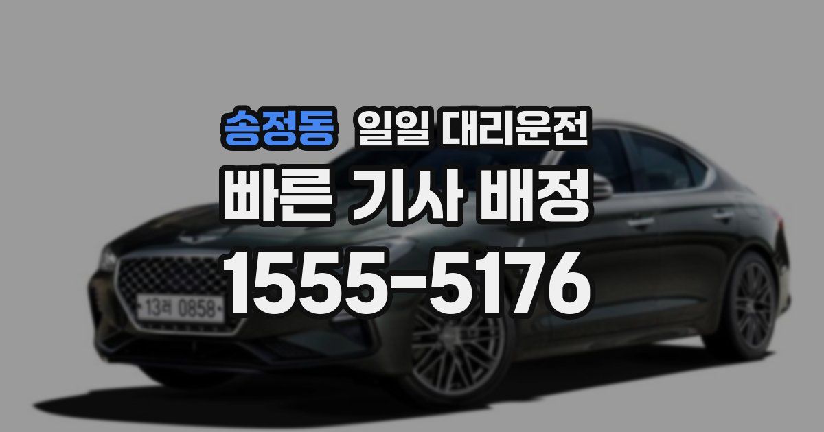 송정동 일일 대리운전