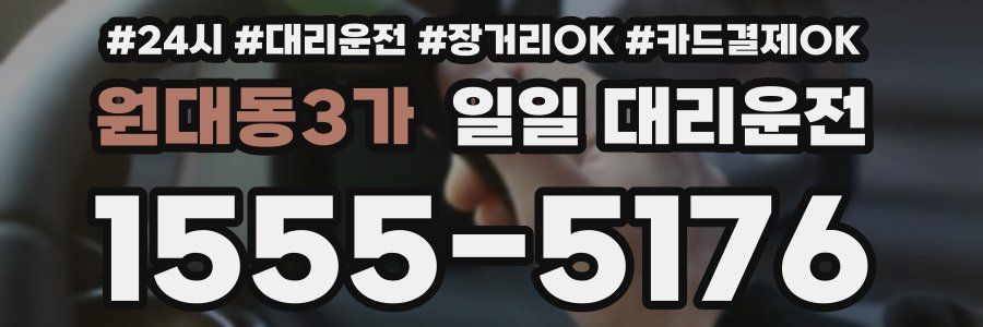 원대동3가 일일 대리운전