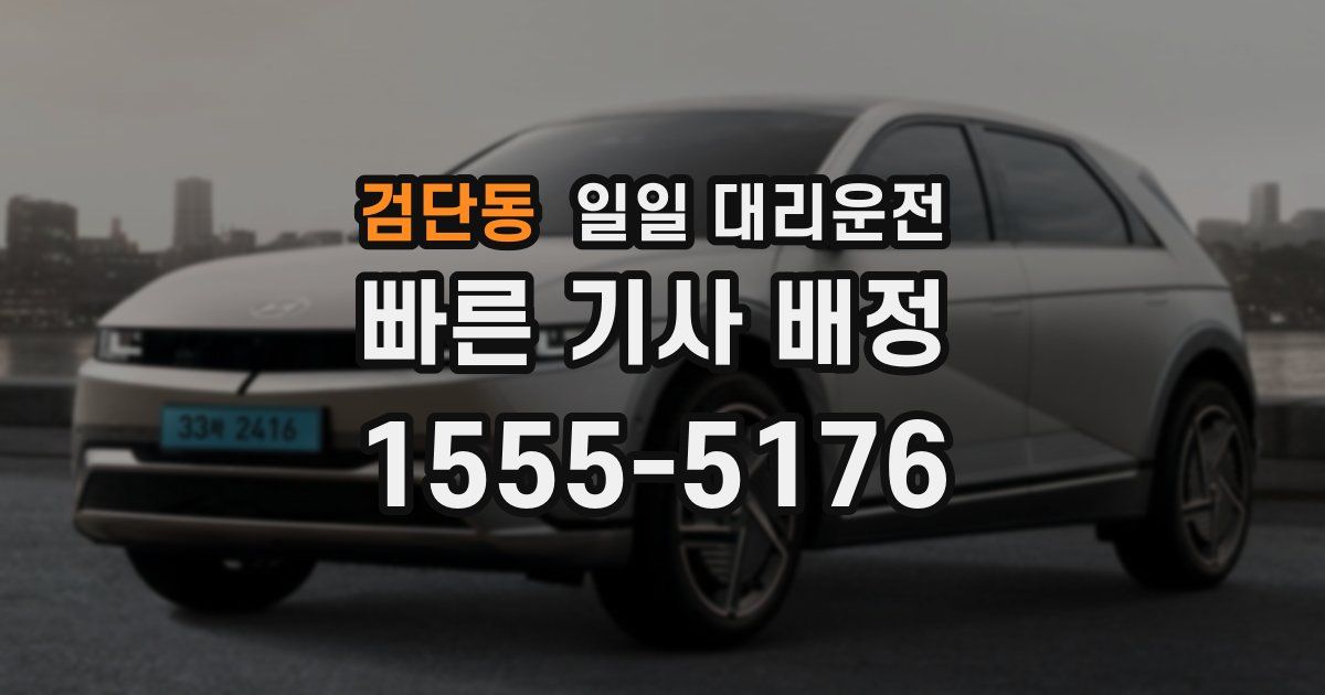 검단동 일일 대리운전