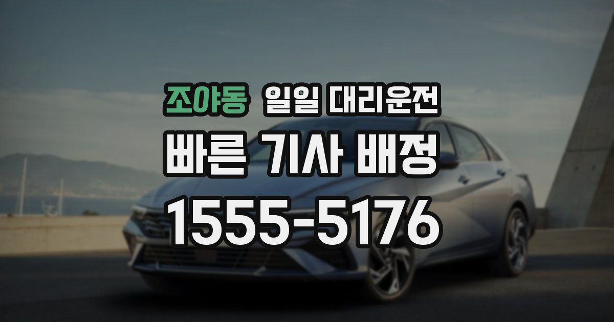 조야동 일일 대리운전