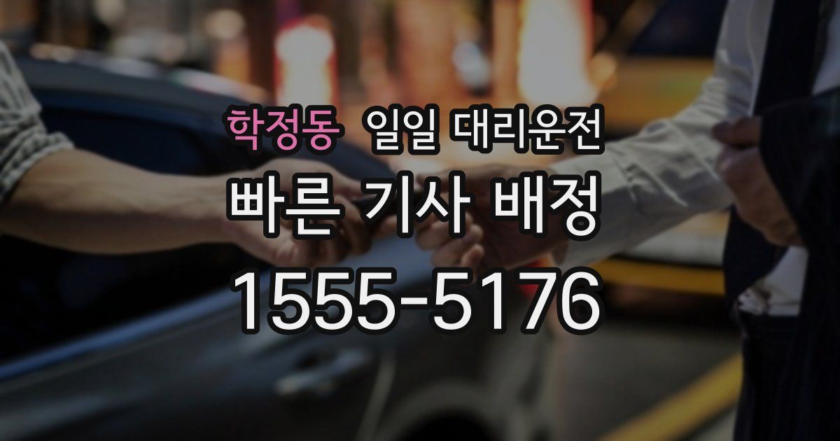 학정동 일일 대리운전