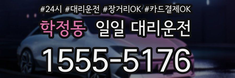 학정동 일일 대리운전
