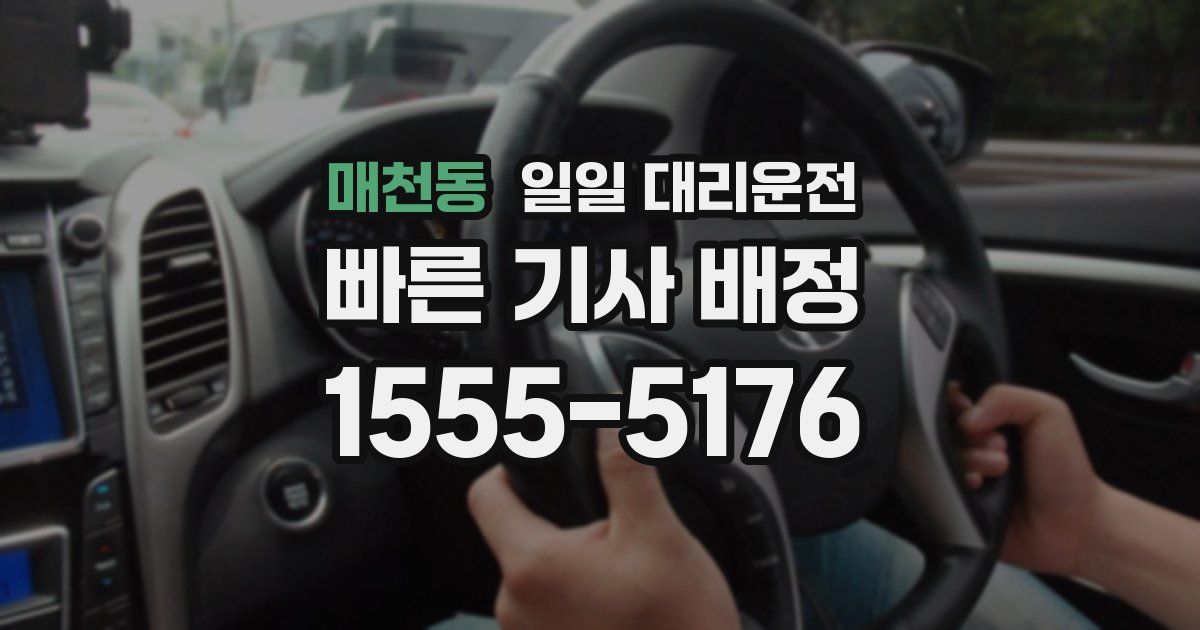 매천동 일일 대리운전