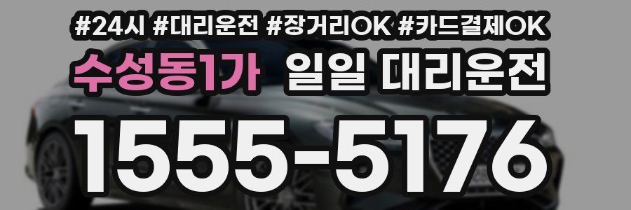수성동1가 일일 대리운전
