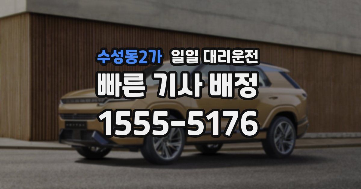 수성동2가 일일 대리운전