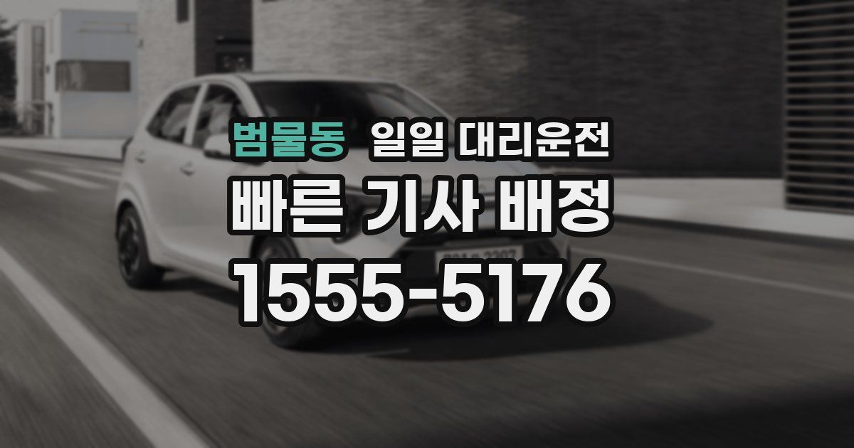 범물동 일일 대리운전