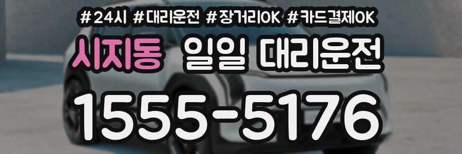 시지동 일일 대리운전