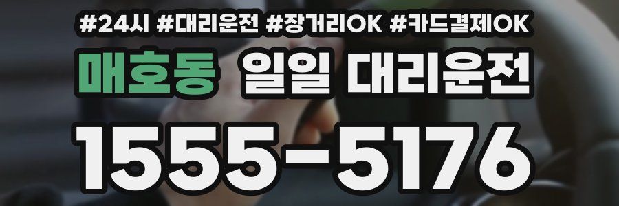 매호동 일일 대리운전