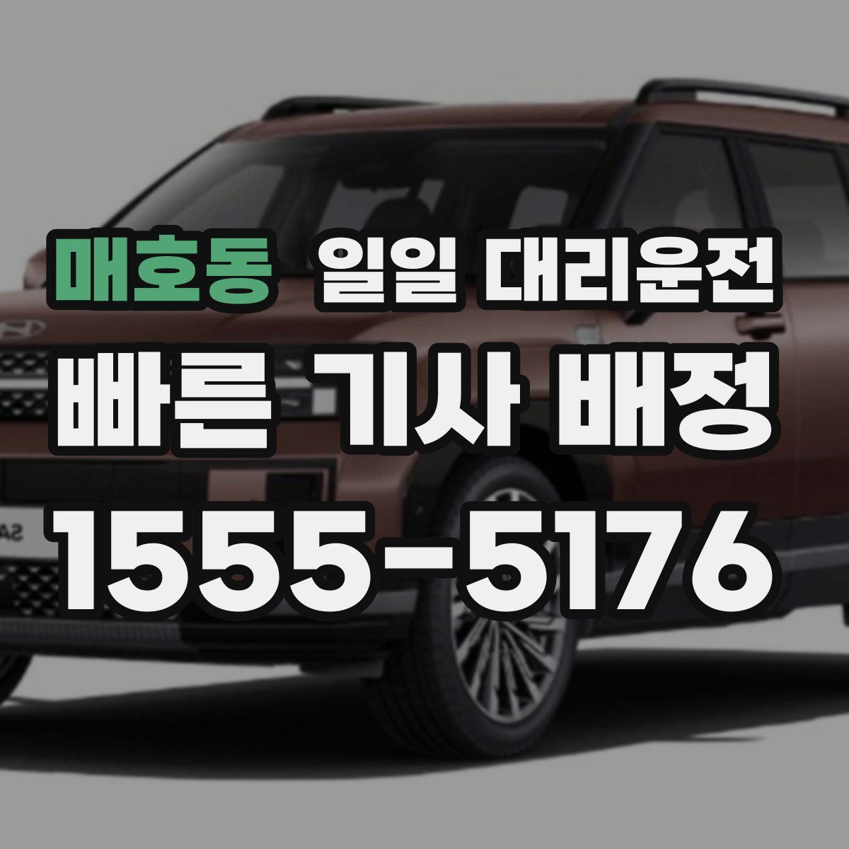 매호동 일일 대리운전