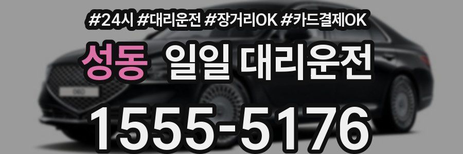 성동 일일 대리운전