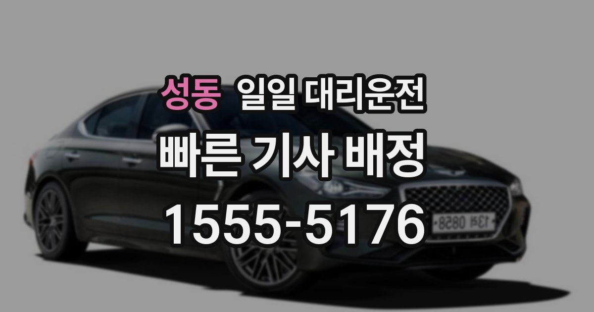 성동 일일 대리운전