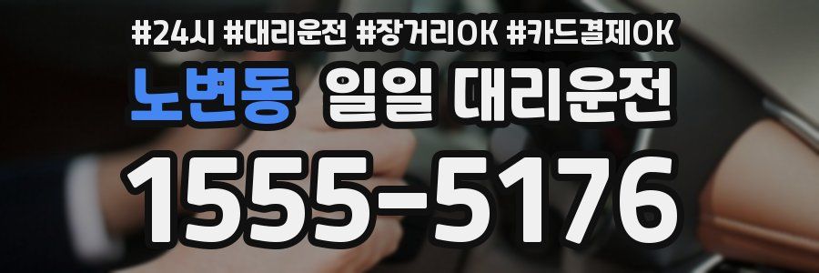 노변동 일일 대리운전