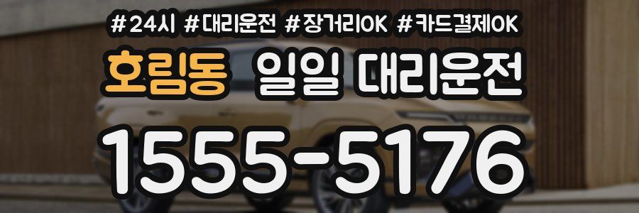 호림동 일일 대리운전