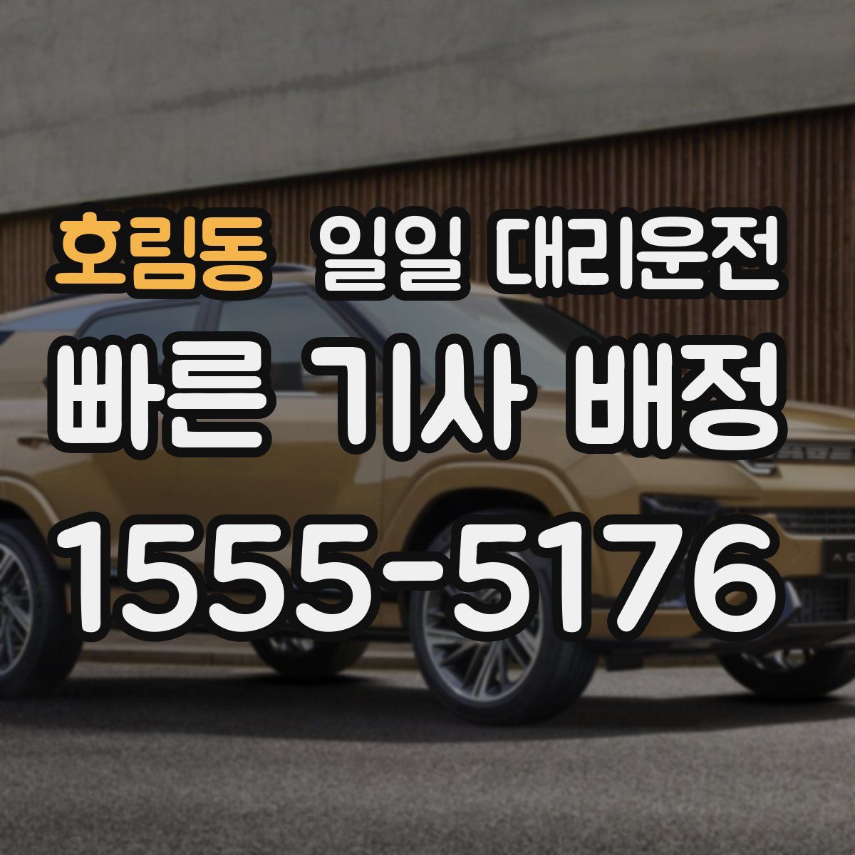 호림동 일일 대리운전