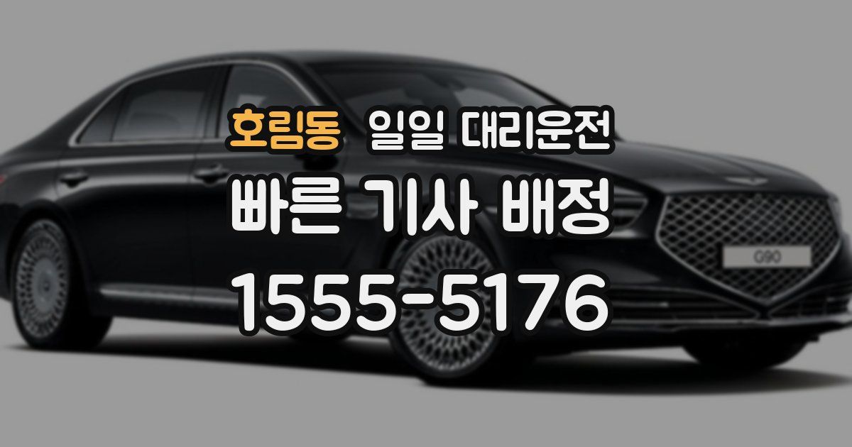 호림동 일일 대리운전