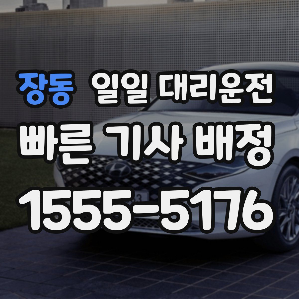 장동 일일 대리운전