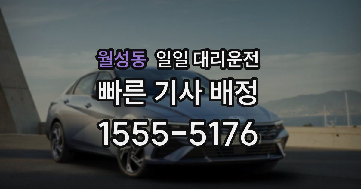 월성동 일일 대리운전