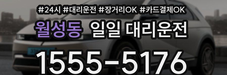 월성동 일일 대리운전