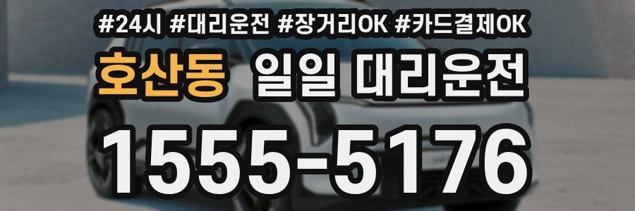 호산동 일일 대리운전