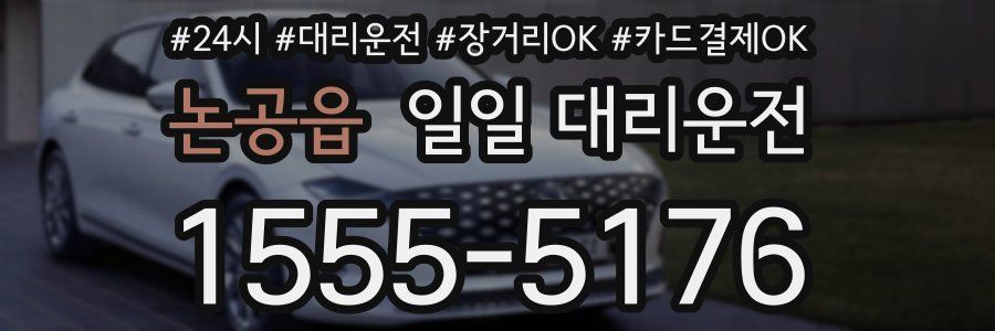 논공읍 일일 대리운전