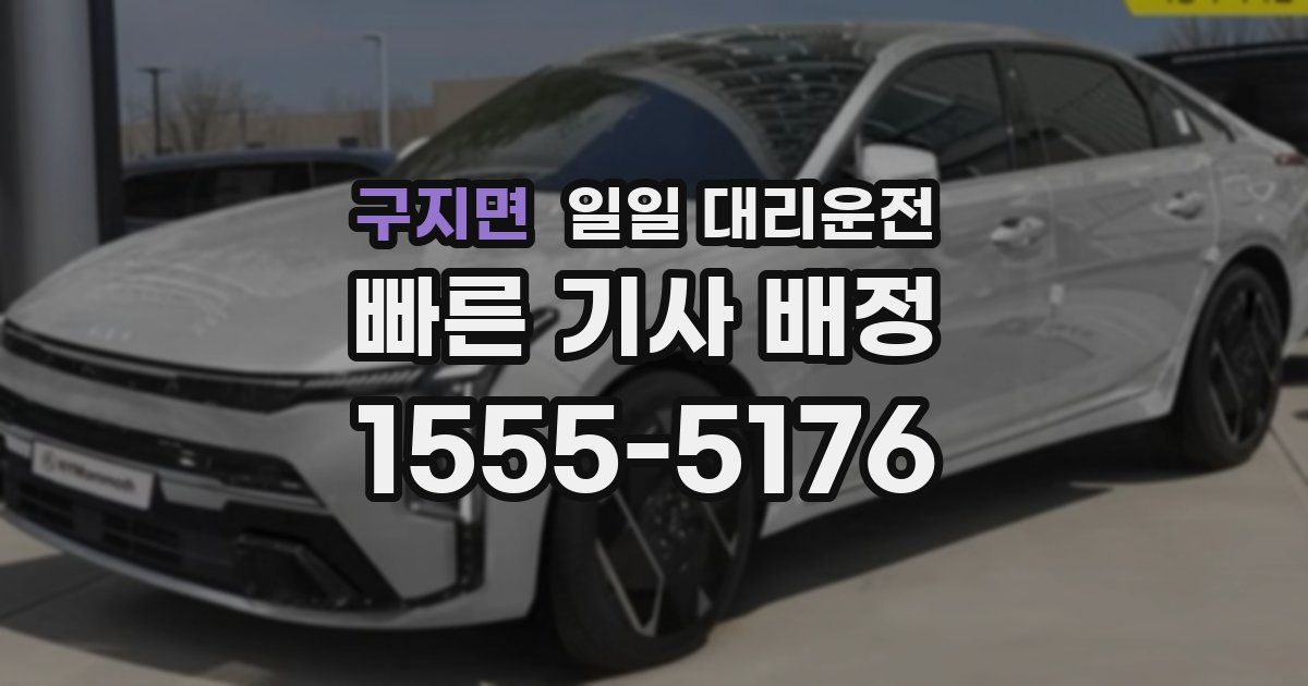 구지면 일일 대리운전