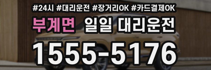 부계면 일일 대리운전