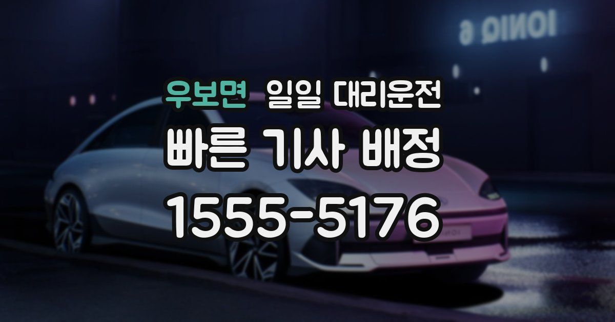 우보면 일일 대리운전
