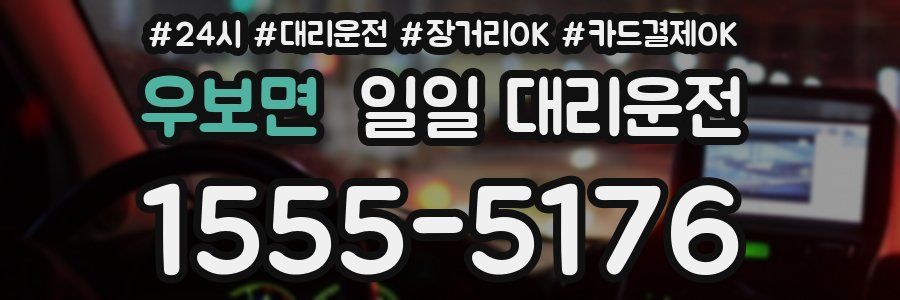 우보면 일일 대리운전