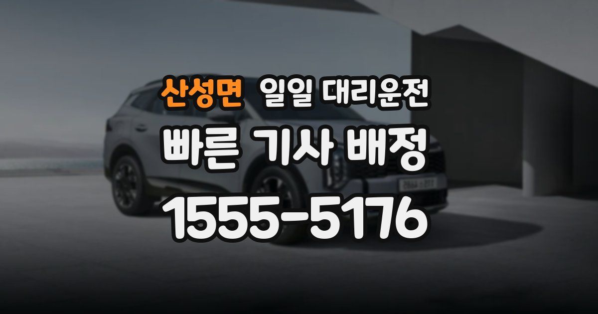 산성면 일일 대리운전