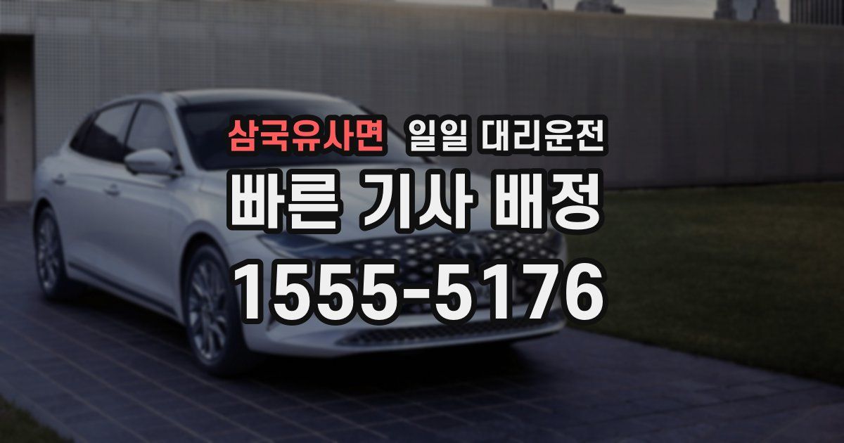 삼국유사면 일일 대리운전