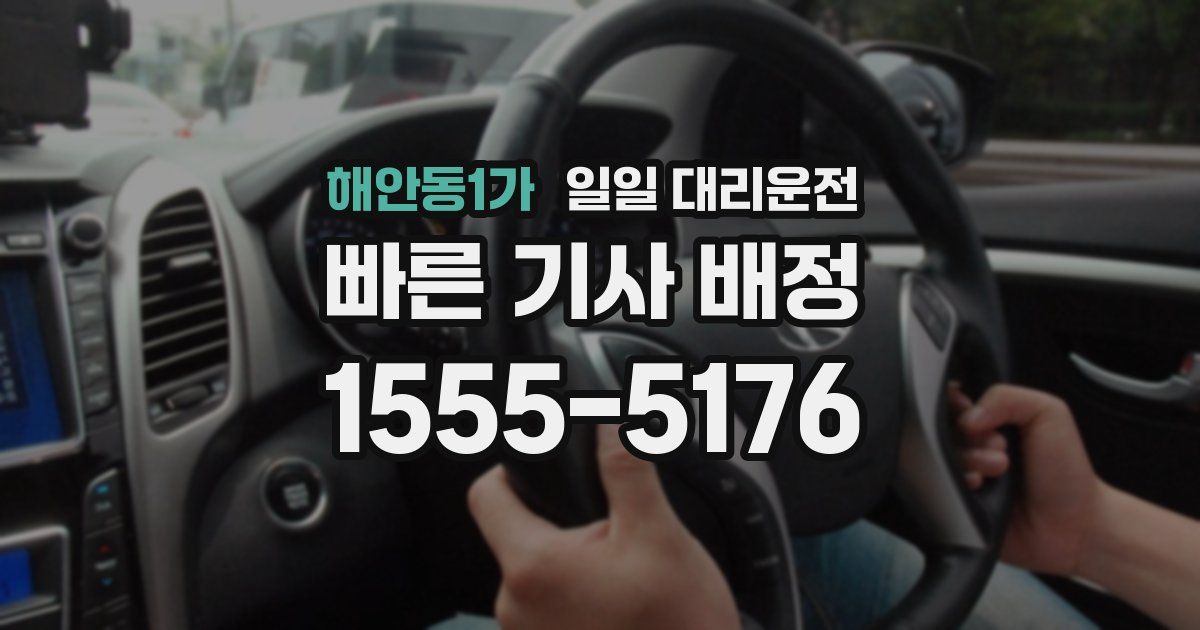 해안동1가 일일 대리운전