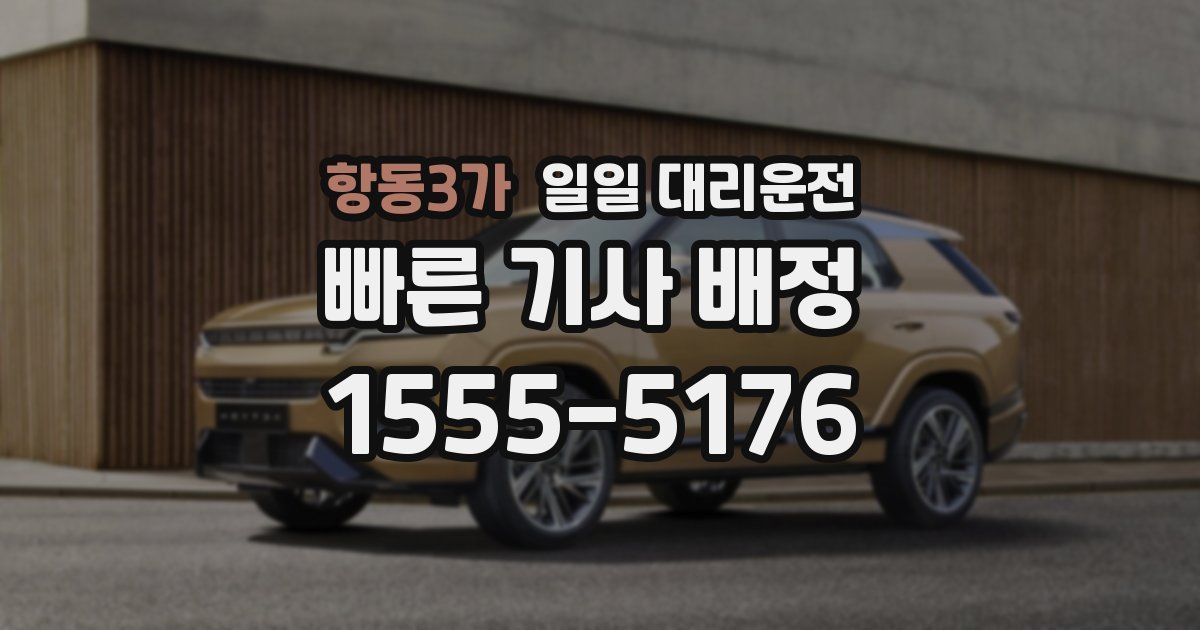 항동3가 일일 대리운전