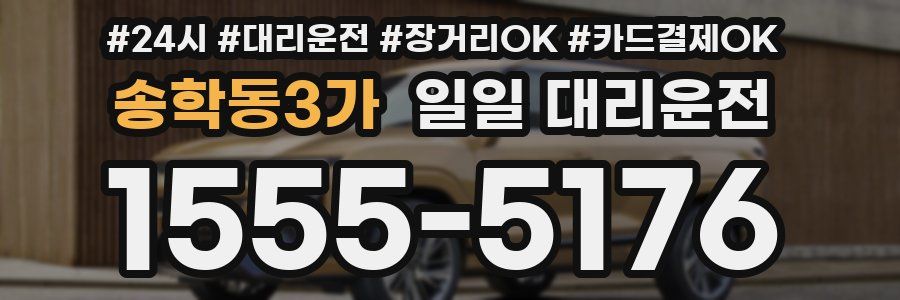 송학동3가 일일 대리운전