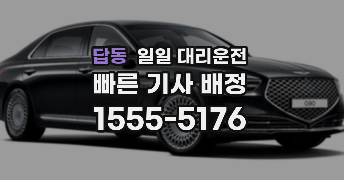 답동 일일 대리운전