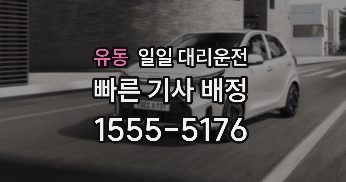 유동 일일 대리운전
