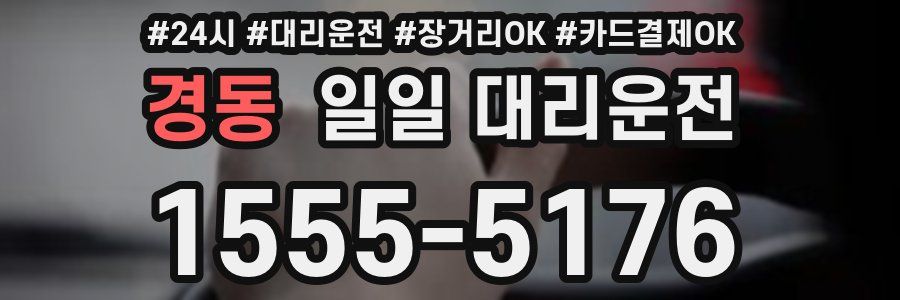 경동 일일 대리운전