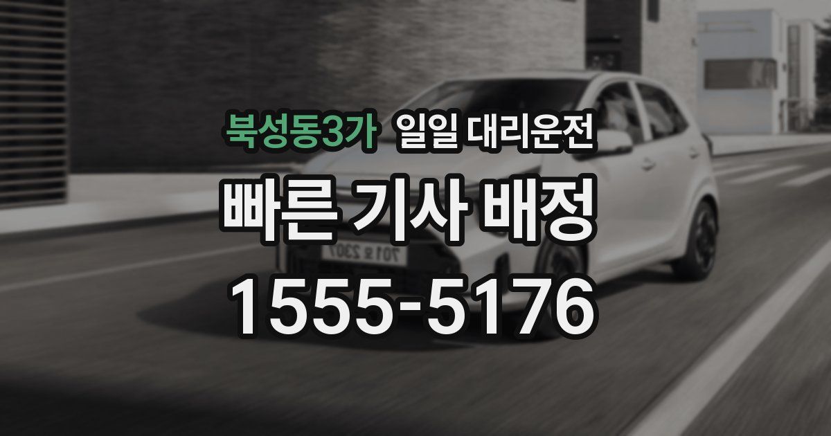 북성동3가 일일 대리운전