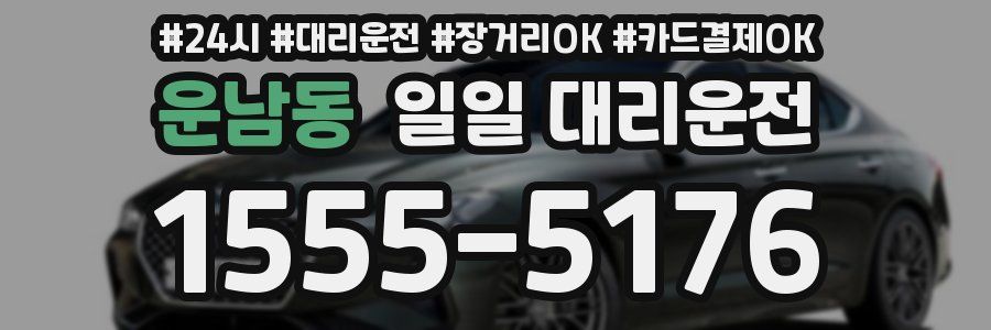 운남동 일일 대리운전